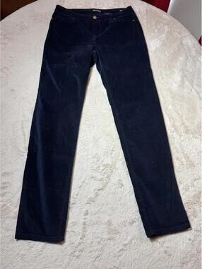 Buffalo David Bitton Navy Blue Mid Rise Velvet Stretch Skinny Pants SZ 10/30